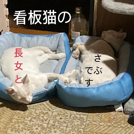 ゲストハウスソルトビーチ 四日市市 エクステリア 写真