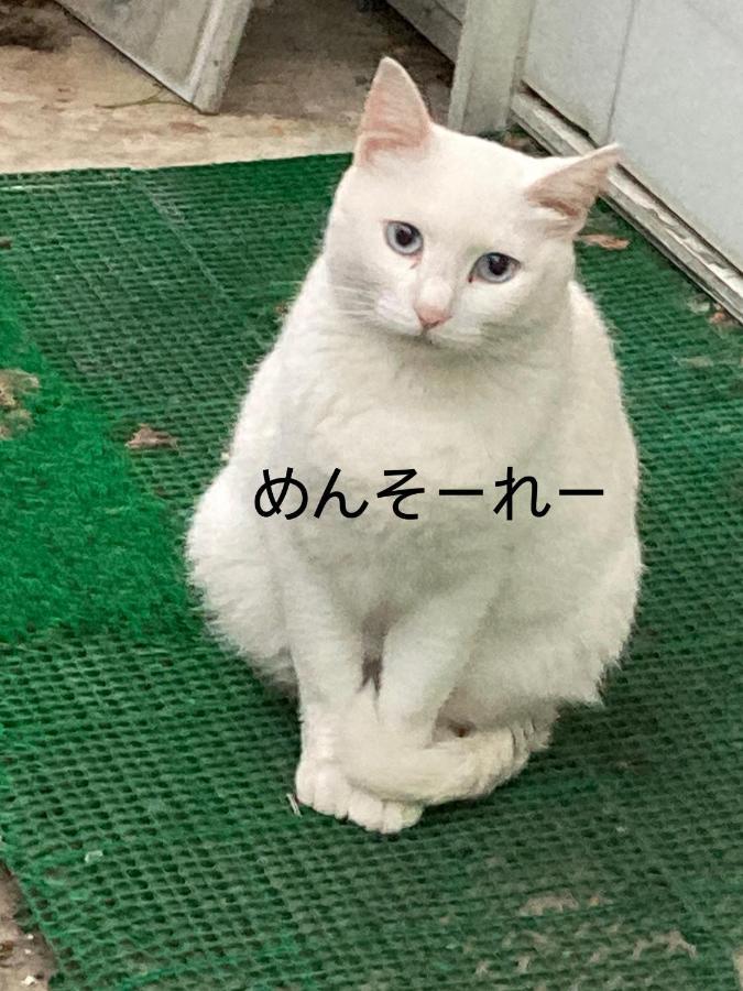 ゲストハウスソルトビーチ 四日市市 エクステリア 写真